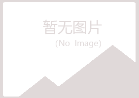 眉山白山律师有限公司